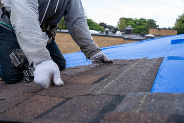 Best Local Roofing Companies  in Sulphur, OK